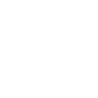 vissiv